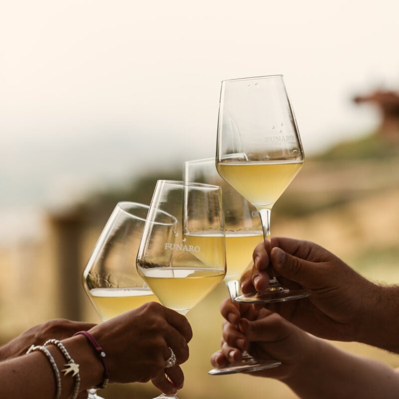 Degustazioni in Cantina | Sicilia - Funaro
