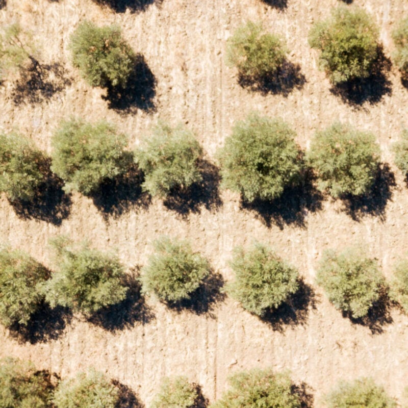 Cantina Funaro - Vini Biologici Siciliani a Santa Ninfa