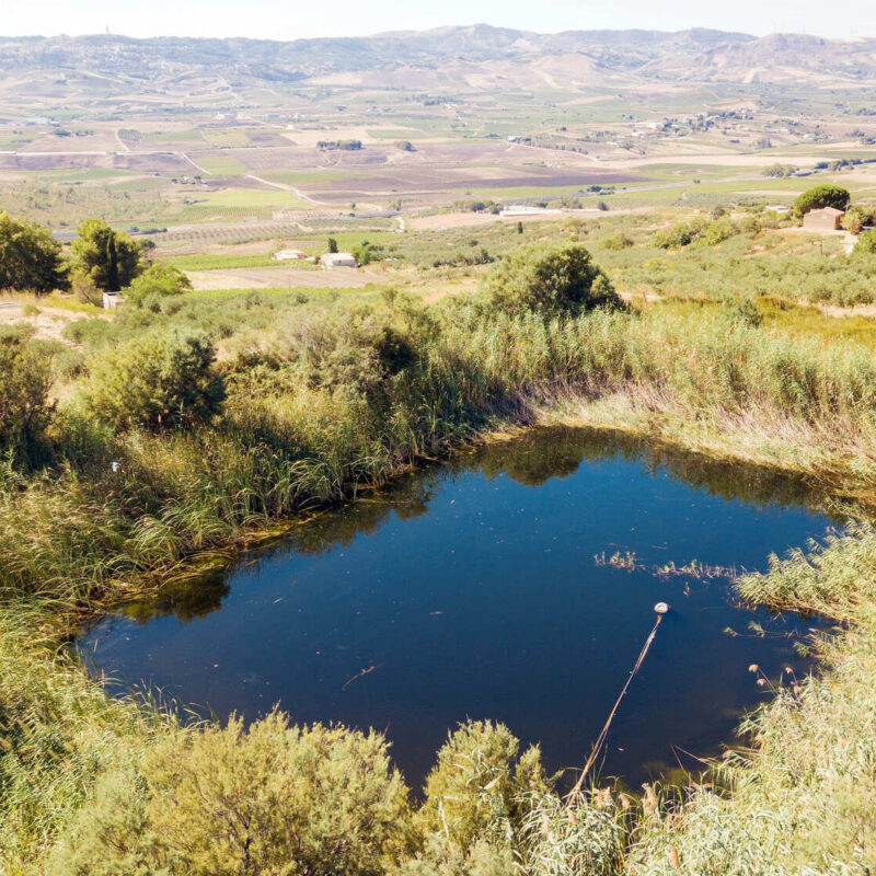 Cantina Funaro - Vini Biologici Siciliani a Santa Ninfa