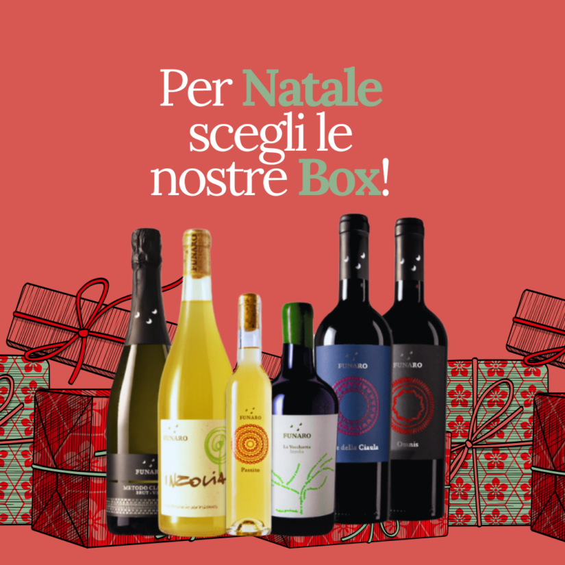 Box Natale