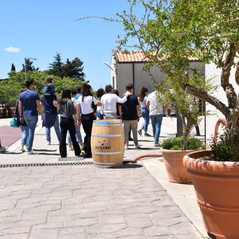 Degustazione in cantina, Trapani, Sicilia occidentale, Cantina Funaro 